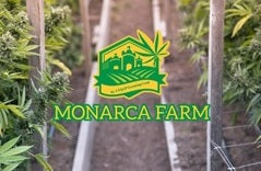 The Monarca Farm Hemp Harvest